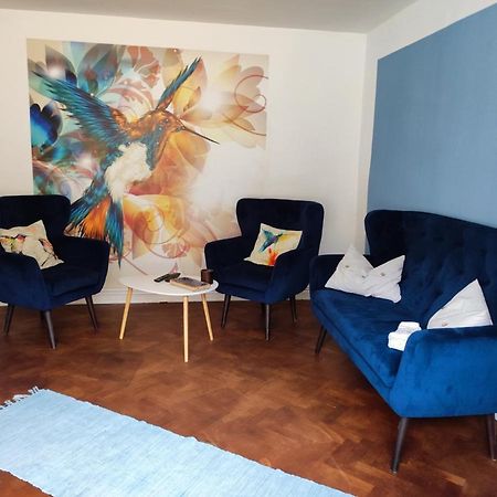 Kolibri Pension Sighișoara Zewnętrze zdjęcie